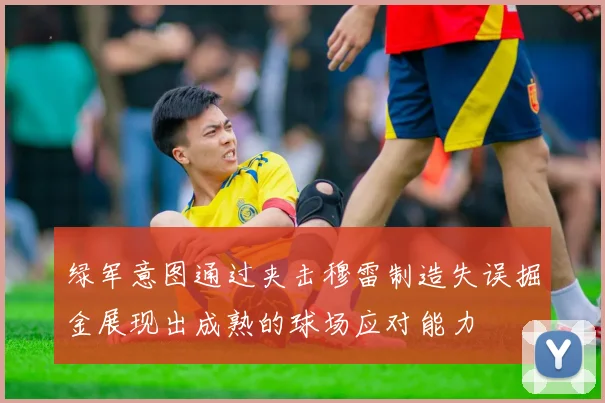 绿军意图通过夹击穆雷制造失误掘金展现出成熟的球场应对能力