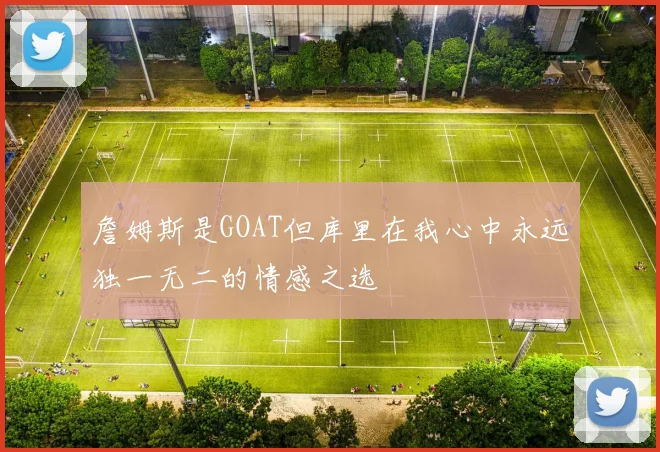 詹姆斯是GOAT但库里在我心中永远独一无二的情感之选
